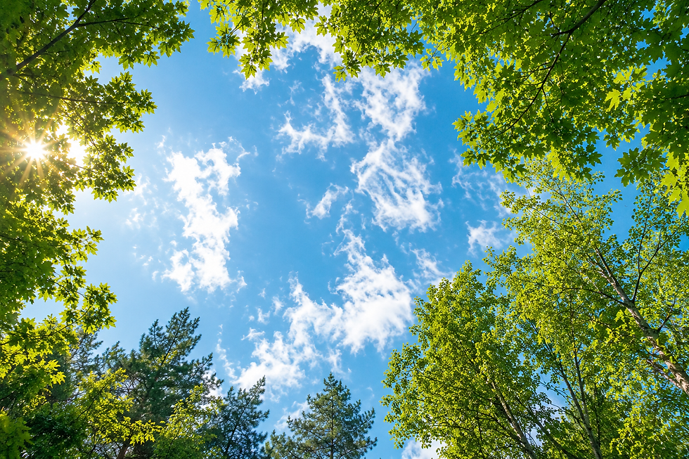 The Science of Looking Up