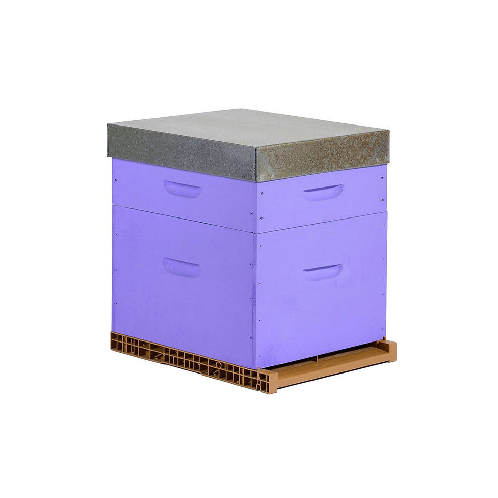 Miniature : Peinture végétale 400gr (Rouge,Bleu, Violet, Vert) 