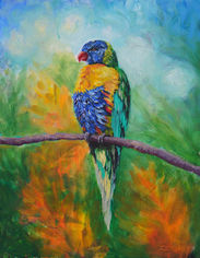 Rainbow Lorikeet