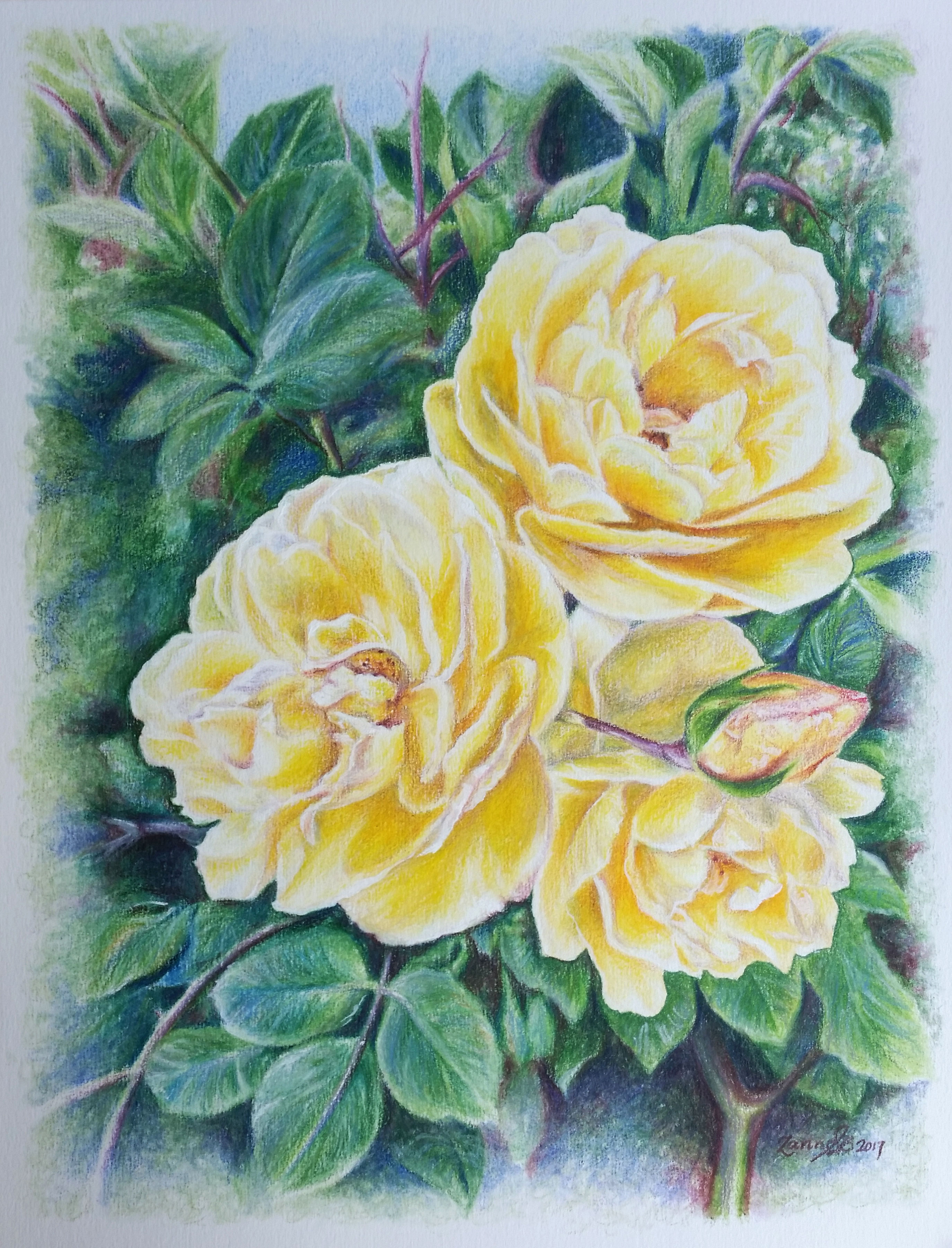 Sunny Spring Glow - Original artwork