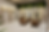 IMG_4933_4x.png