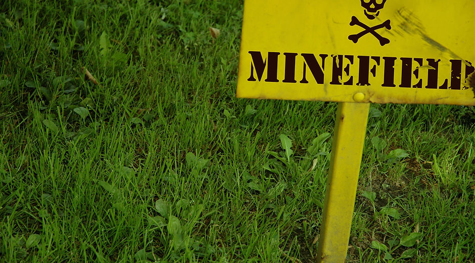 Dsc_4823_Minefield.jpg