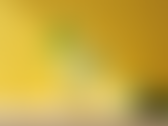 Ayuno intermitente saludable: la guía para principiantes