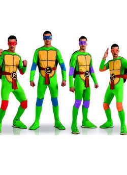 Tortues ninja deguisement angers
