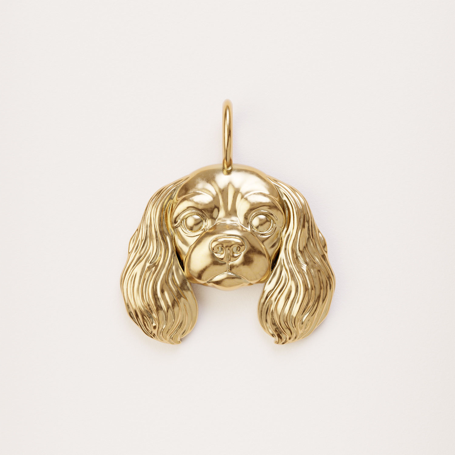 King Charles Cavalier