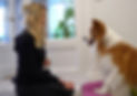 Certified Dog Fitness Instructor, Dog trainer Martyna Figiel and Border Collie dog, Alderaan PURE POWER, Mushu, exercising dog fitness on FitPAWS dog balance training platform.