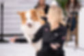 Wish Dogs, red and white Border Collie dog, Alderaan UNFORGETTABLE FIRE "Lucky" and dog trainer Martyna Figiel performing jumping over arms dog trick