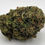Thumbnail: Blue Fin Tuna Kush 27.34%