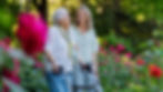garden-walk.jpg
