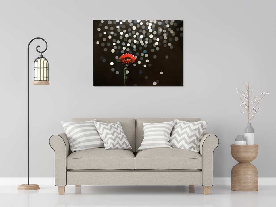 Thumbnail: Where flowers bloom, so does hope!