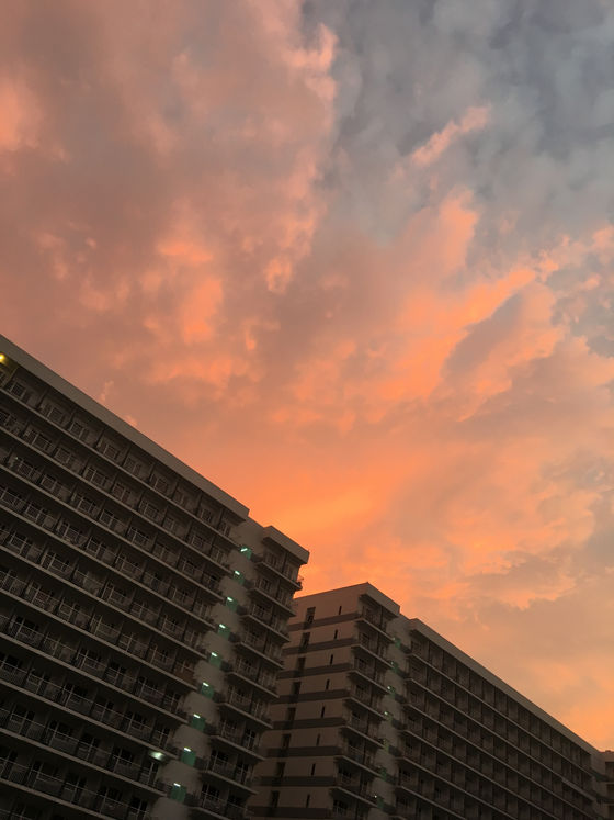 Первые непонятки, сложности и приятные находки или страна вечно пушистых волос и потных лодошек :)