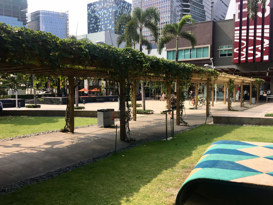 Первая порция выходной прогулки