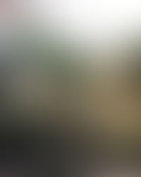 Воскресные прогулки подоспели!