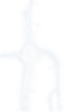 bkgd_circle_2_lt_blue.png