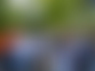 Celebrating the Newly Renovated Springdale Playground