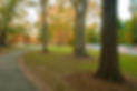 Oakgrove_001 Medium.jpeg