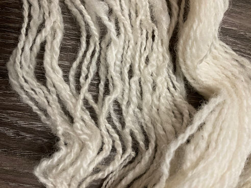 LEARN TO SPIN -Starts Feb 2