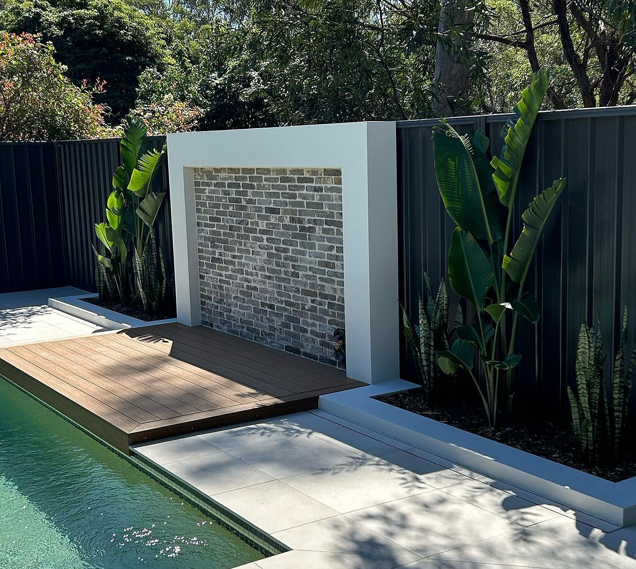 Dark Colorbond fence creating contrast against lush green backyard landscaping.