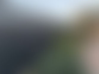 Modern Colorbond fence installed with clean lines and professional finish on residential boundary