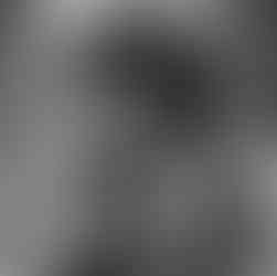 Joel from Glover’s Fencing installing boundary fence with careful alignment and attention to detail