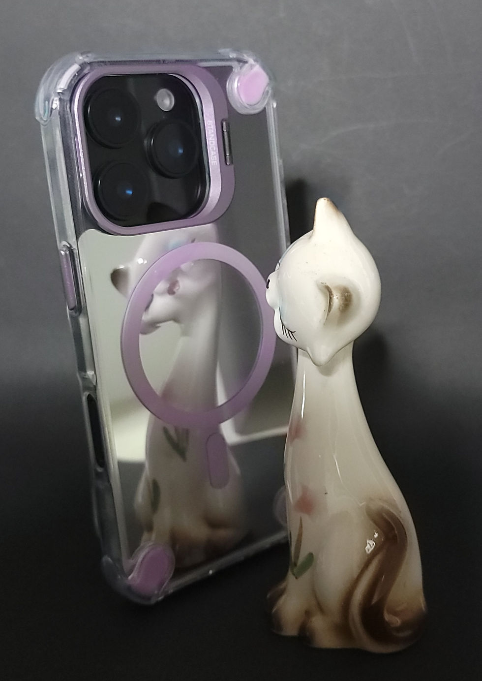 iPhone case (with full-body mirrored case gasket)