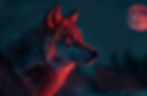wild-wolf-nature.jpg