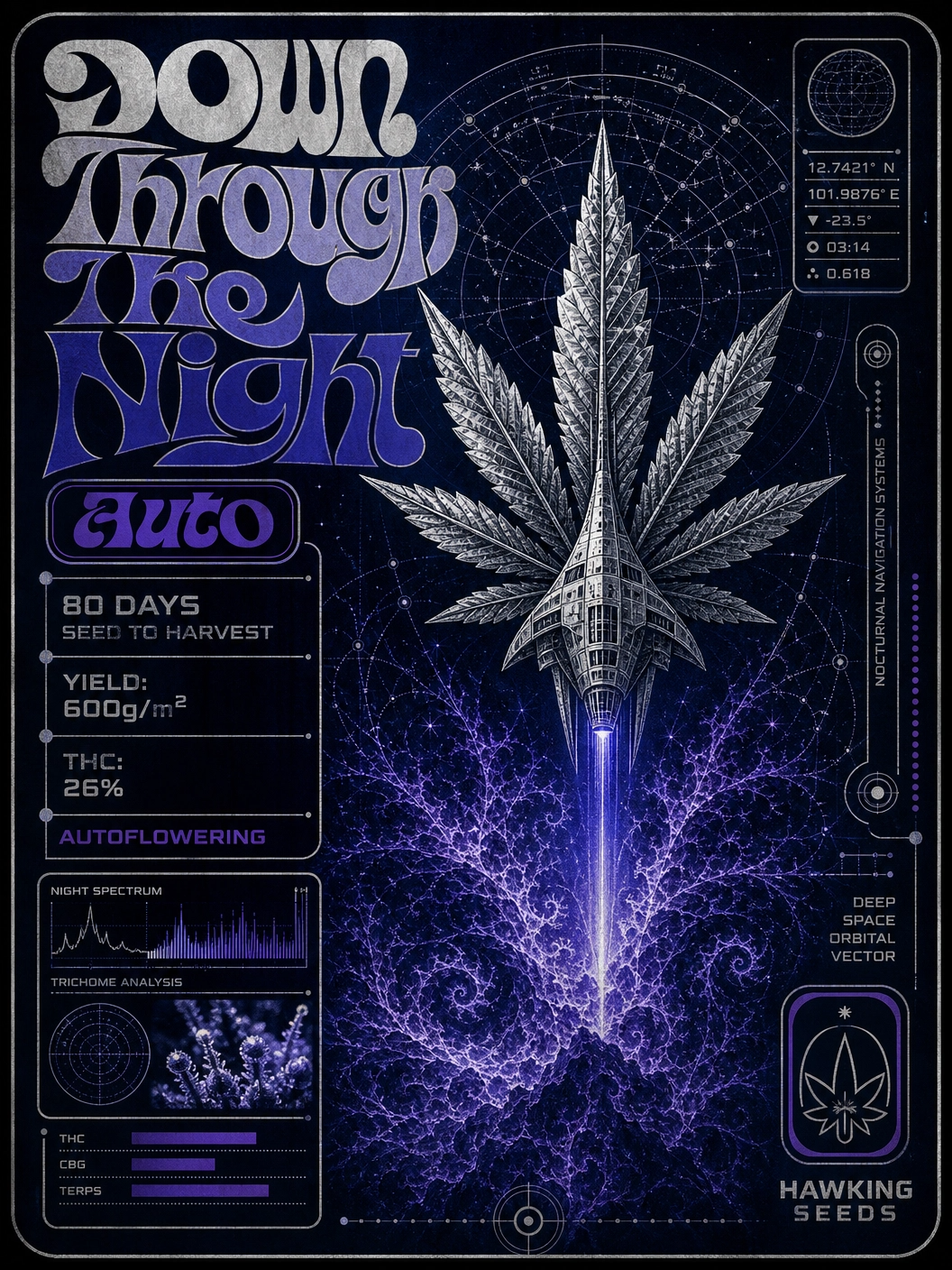 Down Through The Night Auto