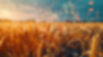 AdobeStock_1095380570.jpeg