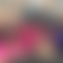 【全國校犬比賽10校獲獎】新北安溪國中、桃園菓林國小 榮獲特優