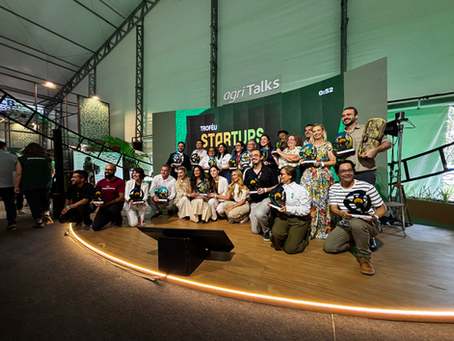 Na COP30, Rede Mulher Florestal premia startups do setor florestal lideradas por mulheres