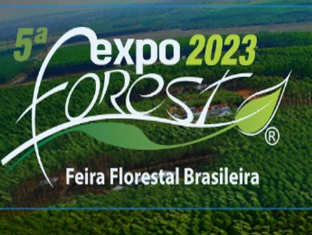 Rede Mulher Florestal entrega prêmio em feira do setor florestal; presidente se torna embaixadora