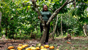 RMF consolida reivindicações para a COP 30 em manifesto em defesa das mulheres