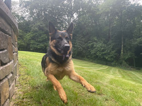 LwL5 Practicing Transitions