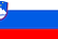Slovenia.png