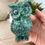 Thumbnail: Tree agate Owl