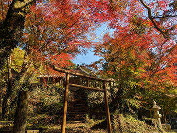 宥厳先生の生まれ故郷でふみふみ流天地楽健法を学ぶリトリート開催！