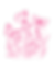 Pink Poppy Flowers