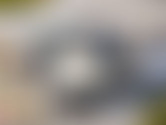 ブログ投稿を開始します。