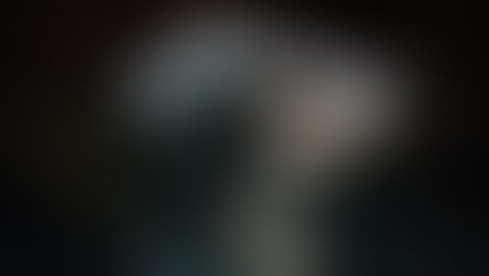 2017 He nacido para verte sonreír