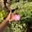 Thumbnail: Flower Keychain