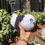 Thumbnail: Panda Plushie