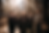 Full Photo.png