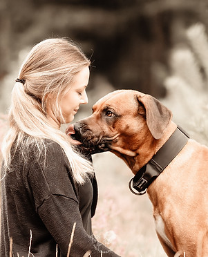 hlejoyofdogsports-1.jpg