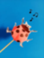 Une histoire de... Coccinelle !