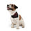Thumbnail: Pet Bandana Collar-Black