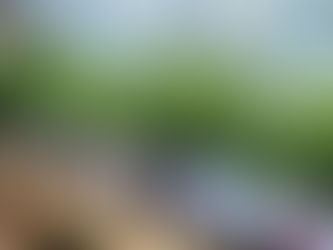 Planting Your Dahlia Cutting