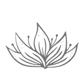 Design sem nome (2).png