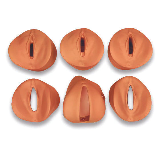 Prenatal Cervical Change Model / Labour 
 Delivery Modules