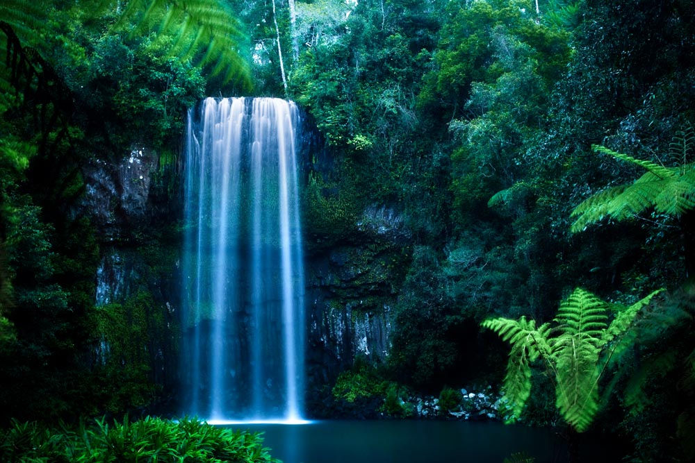 Waterfall and tropical forest at Millaa Millaa Falls, Queensland, Australia