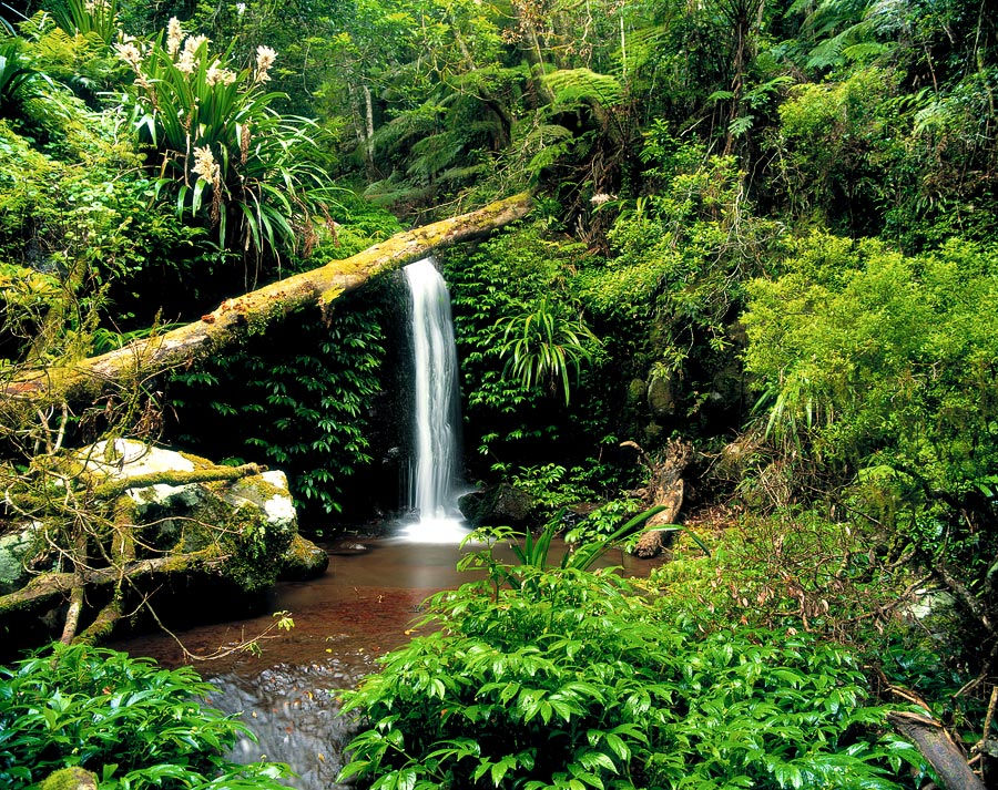 Waterfall, Namington National Park, Queensland, Australia